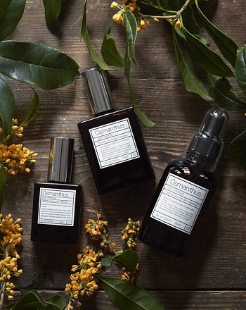 金木犀の香水 本物に近い香り 人気おすすめの香り 21年 香水おすすめ聞いてみた 香水のレビューブログ